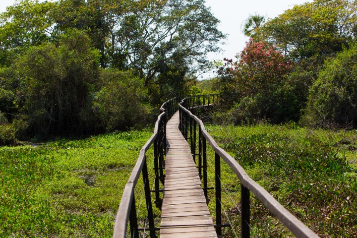 Pantanal - Photo by Pantanal